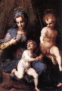 Andrea del Sarto Madonna mit Hl Johannes oil painting reproduction